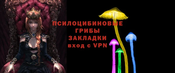 ГАЛЛЮЦИНОГЕННЫЕ ГРИБЫ Верхнеуральск